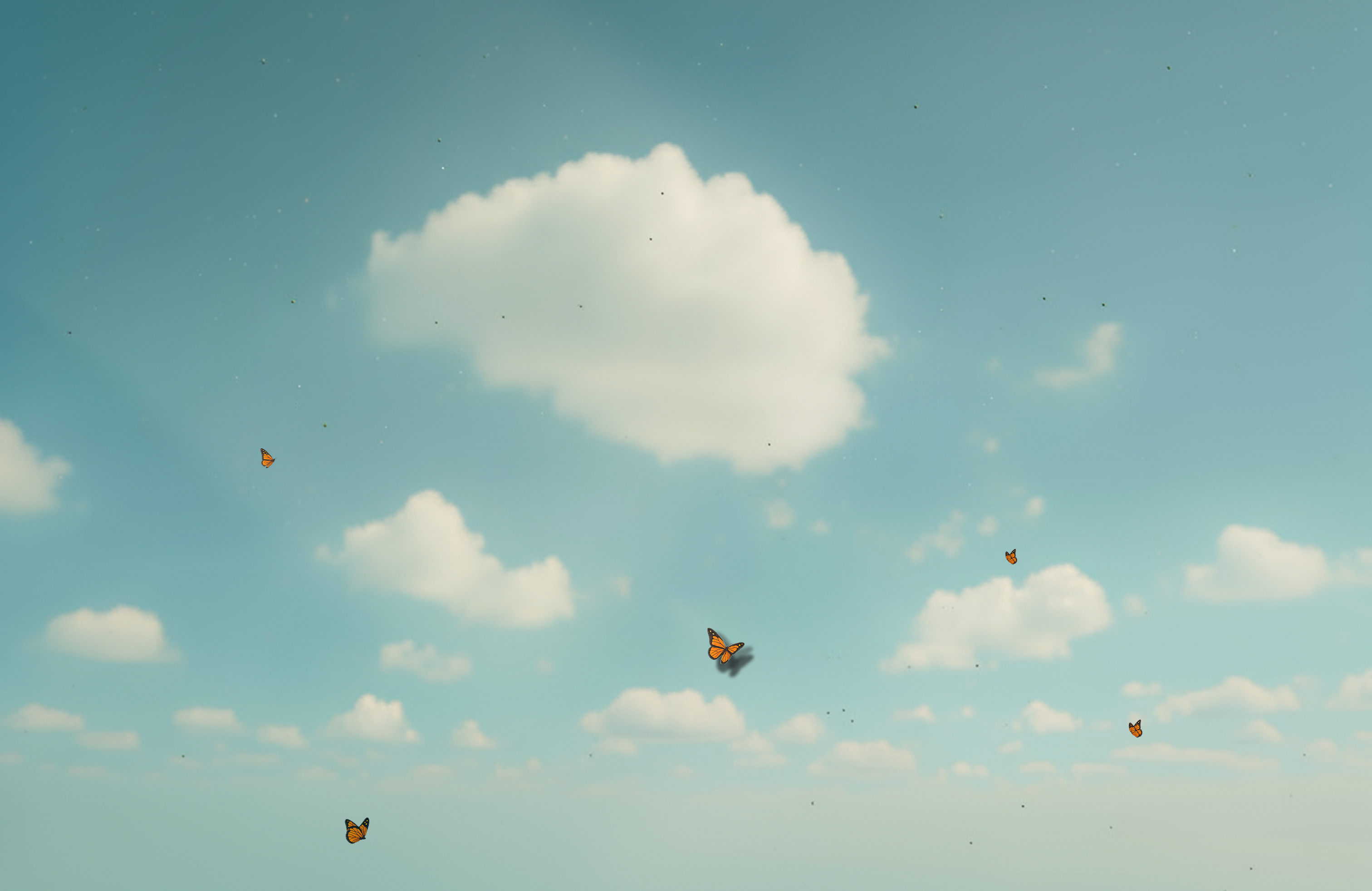 Wallpaper